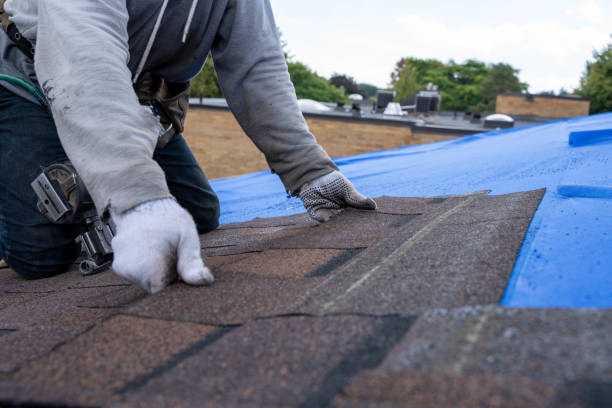 Professional Roofing Contractor in Carson, CA